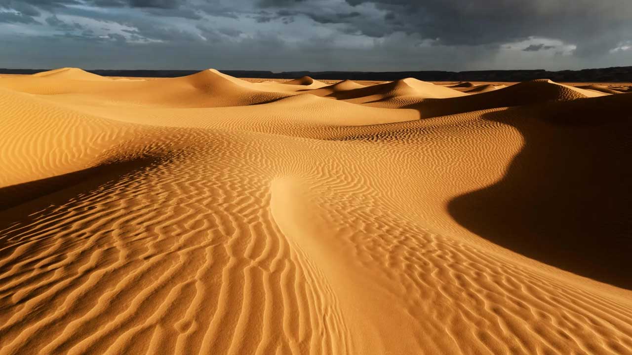 The Sahara Seawater Farm and the Transformation of Earth’s Largest Desert